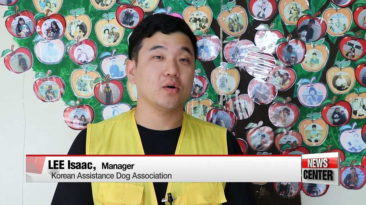 Dogs assist people with disabilities, mingle with people for emotional healing