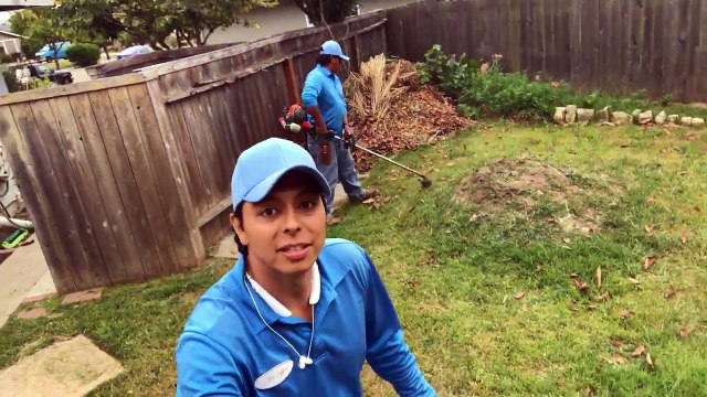 General garden maintenance Downtown Santa Barbara,CA