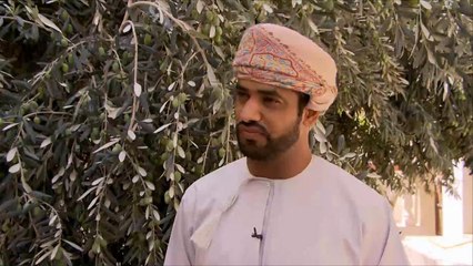 هذا الصباح-عُمان تتوسع في إنتاج زيت الزيتون