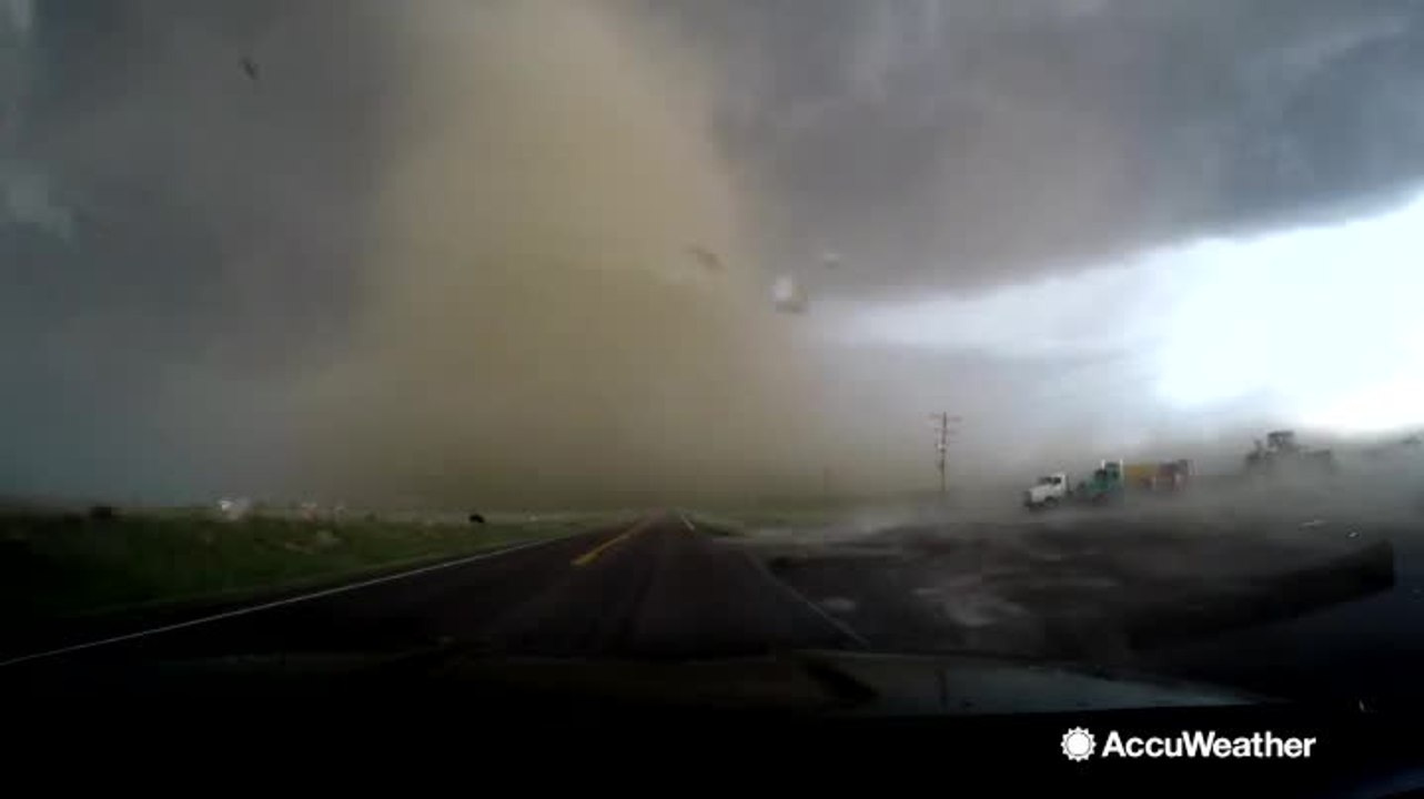 Why do storm chasers put themselves in harm's way?