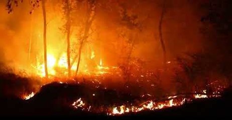 Wildfire Blazes on Mount Veeder Road Outside Napa Valley