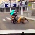 Two drunk guys on a scooter