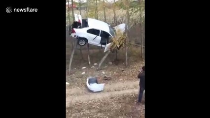 Crashed car trapped in trees in China
