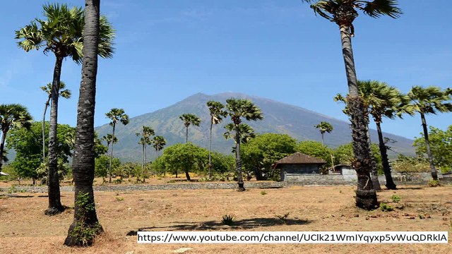 La Palma well of lava: Will it emit? At the point when would it be able to emit? Is it a danger? - Most recent charts