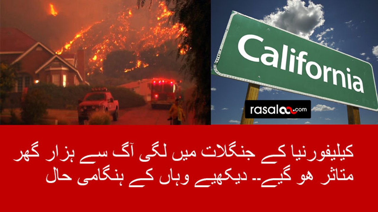 Wildfires in Northern California Destroy 1000 houses