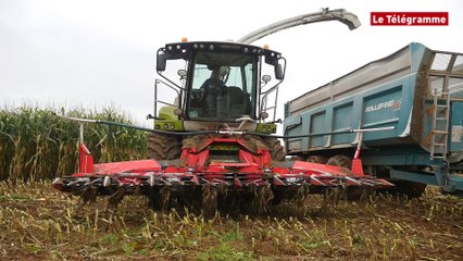 Agriculture. On embarque à bord d'une ensileuse