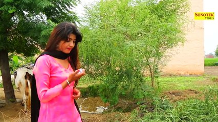Tere Nakhare ¦¦ Sonu Sharma,Ruchika Jangir, Sonika Singh, Vinay Talam ¦¦ New Haryanvi Song