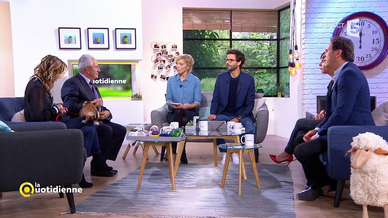 Dans "La quotidienne" sur France 5, un chien mort Gérard puis ... fait ses besoins sur le plateau!