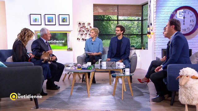 Dans La quotidienne sur France 5, un chien mort Gérard puis ... fait ses besoins sur le plateau!