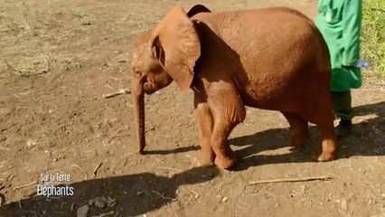 [TEASER] Sur la terre des éléphants : Muriel Robin & Chanee - extrait 3