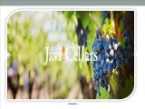 Online Wine Shop - javicellars.com