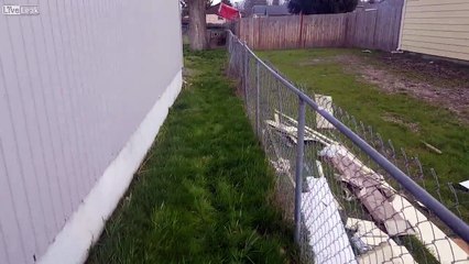 Nightmare on Elm Tree... Only a matter of time?