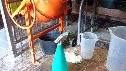 Des pleurotes made in Braives