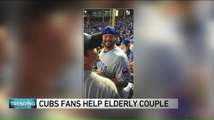 Kind Cubs Fans Help Elderly Couple Enjoy Playoff Game from the Bleachers