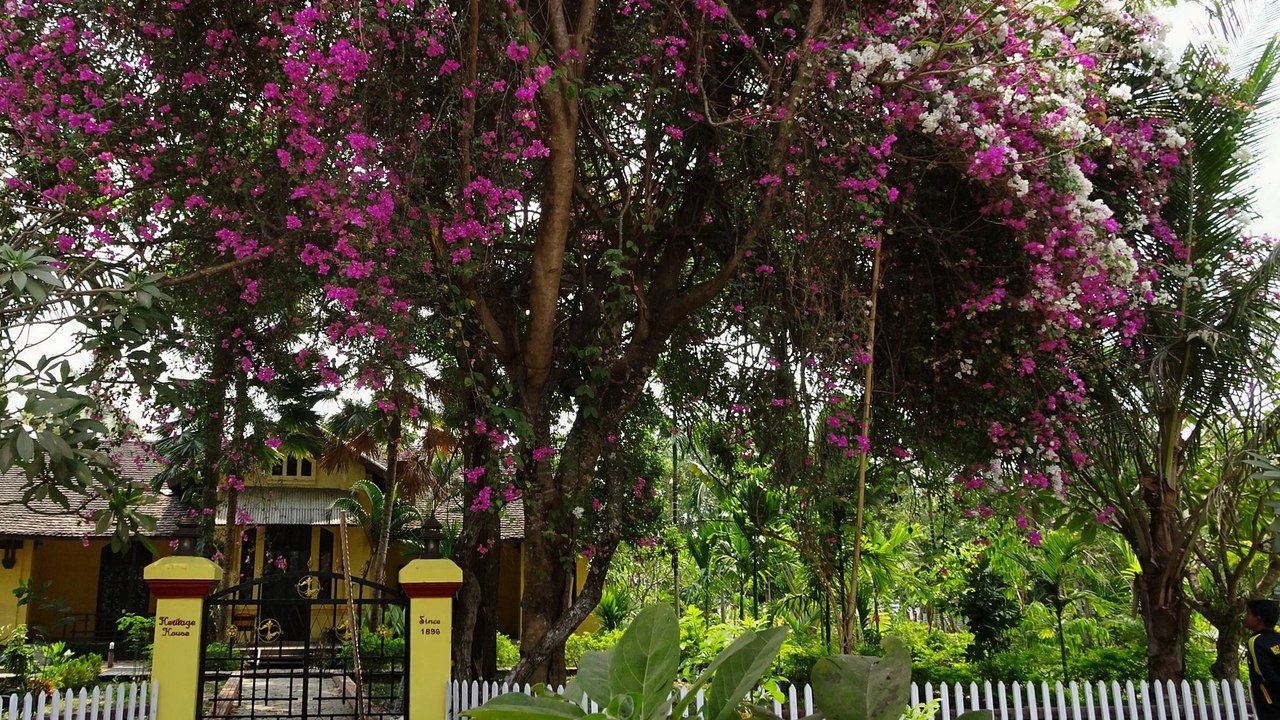 Laos.Don Khone. Les 4000 îles