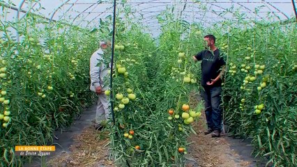 La Bonne Etape - La Fruitière Tourangelle
