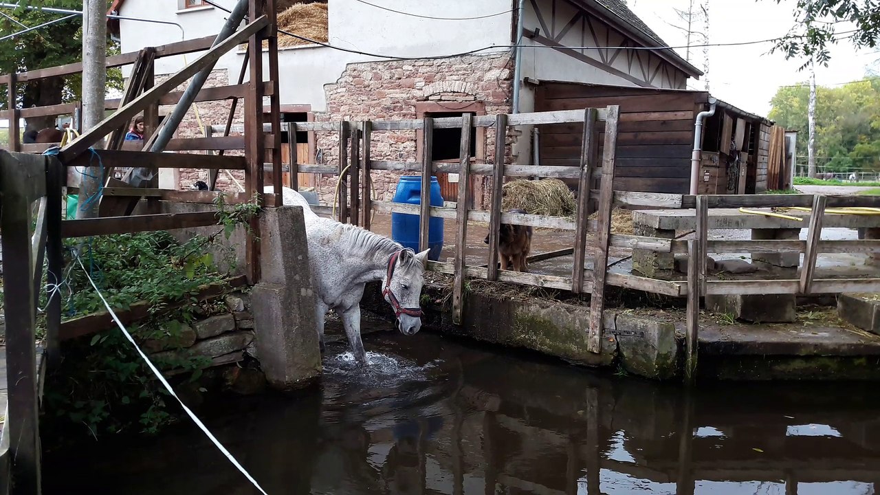 haras de la bleiche