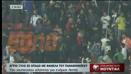 Un homme en maillot du Panathinaikos agressé dans le terrain de l'Olympiakos en Grèce.