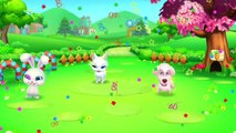 Care for Animals - ER Pet Vet - Animals Doctor Game For Kids - Fun Gameplay Video for Baby