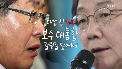 [나이트포커스] 보수 대통합의 운명은? / YTN