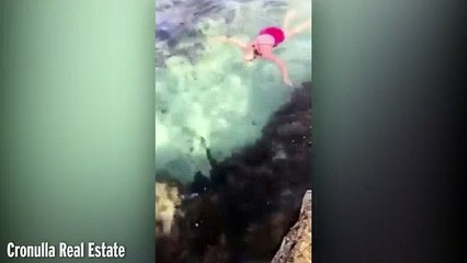 Thấy cá mập, bà mẹ Úc lao tới truy bắt, ném ra khỏi bể bơi