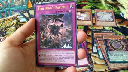 Maximum Crisis Special Edition Display Opening! ASH BLOSSOM???