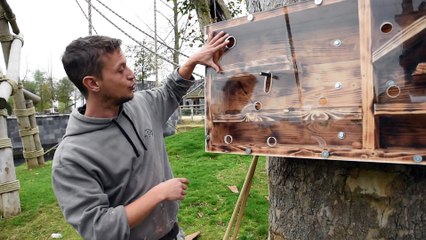 Des jeux pour les animaux de Pairi Daiza