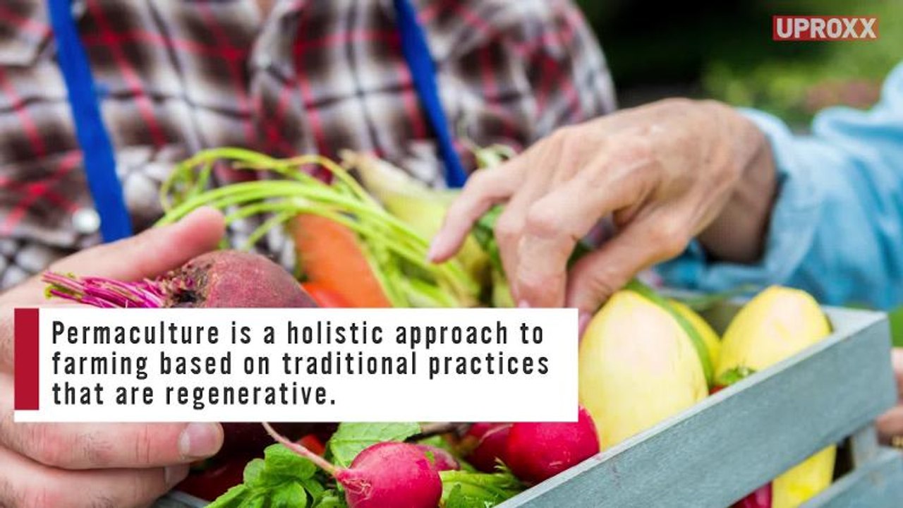 Can We Fix Our Broken Food System?