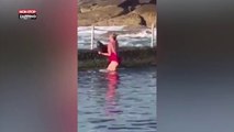 Australie : Une femme attrape un requin à mains nues pour le sauver (Vidéo)
