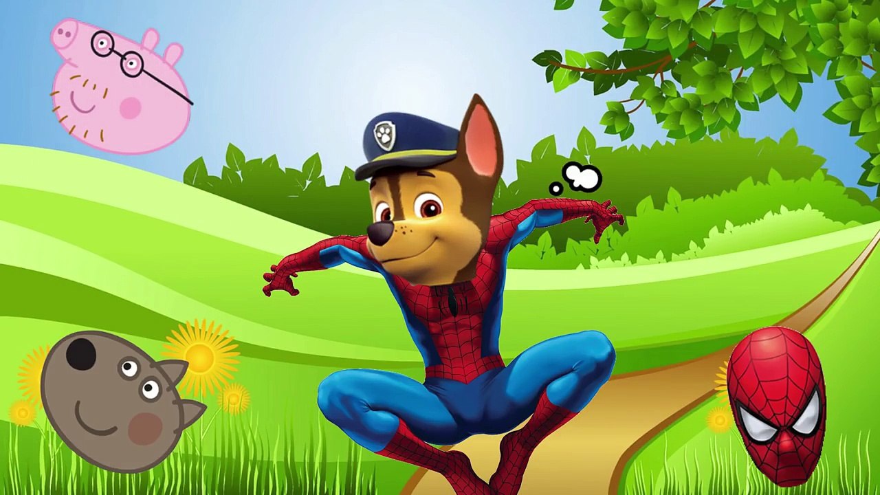 Wrong Heads Paw Patrol Peppa Pig Superhero Spiderman Learn Colors Finger Family Nursery Rhymes