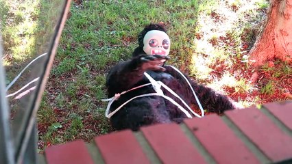 Örümcek Adam ve Dondurulmuş Elsa - Bed altında Canavar! Real Life süper kahraman filmi!