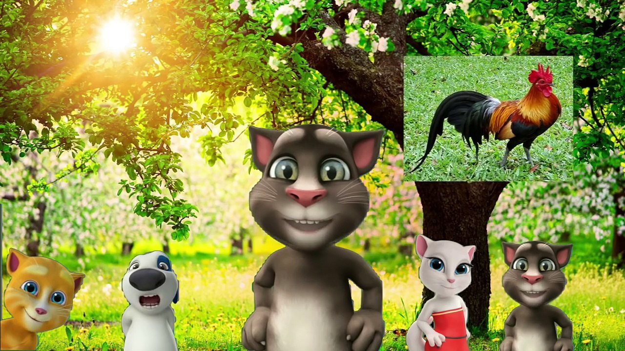 Horozumu Kaçırdılar - Ali Babanın Çiftliği Var - Köpeğim Hav Hav Der - Hapşu - Portakalı Soydum