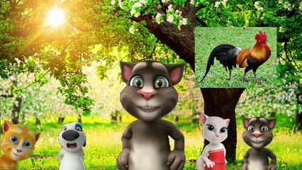 Horozumu Kaçırdılar - Ali Babanın Çiftliği Var - Köpeğim Hav Hav Der - Hapşu - Portakalı Soydum