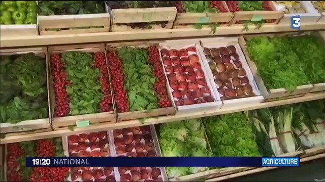 États généraux de l’alimentation : Macron s'engage à légiférer pour mieux rémunérer les agriculteurs