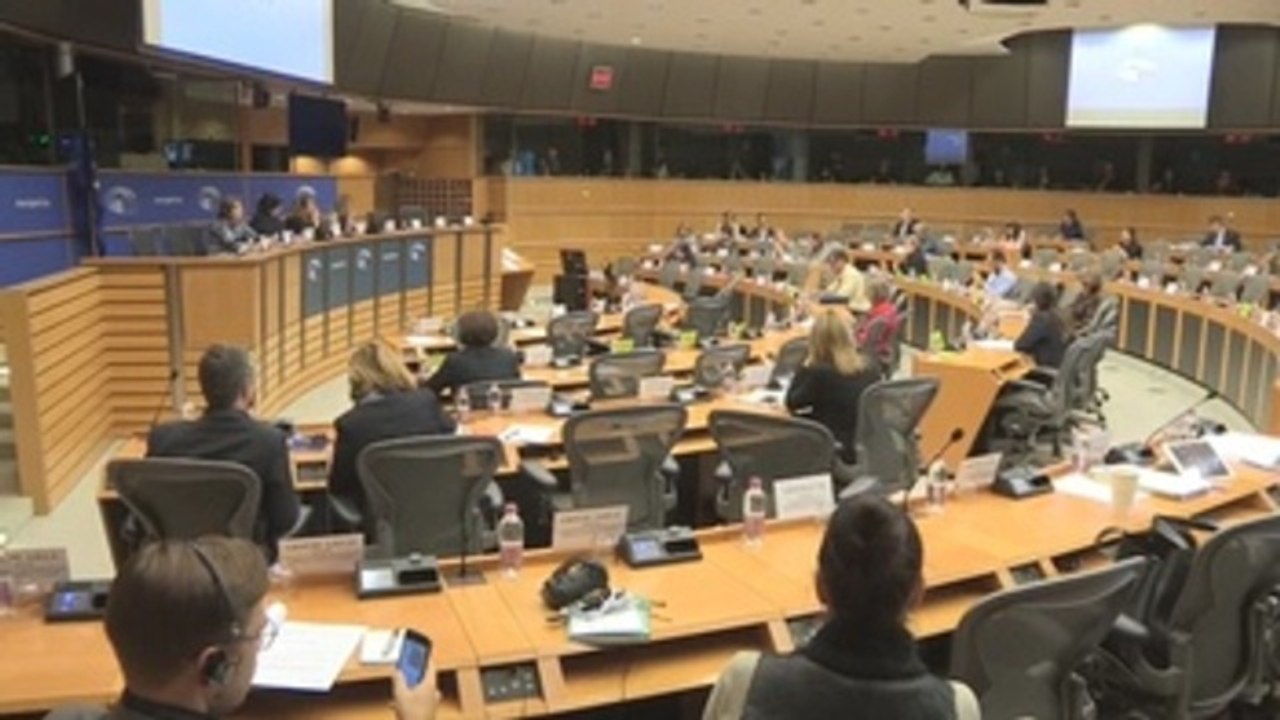 Las víctimas de ETA piden al Parlamento Europeo investigar la impunidad