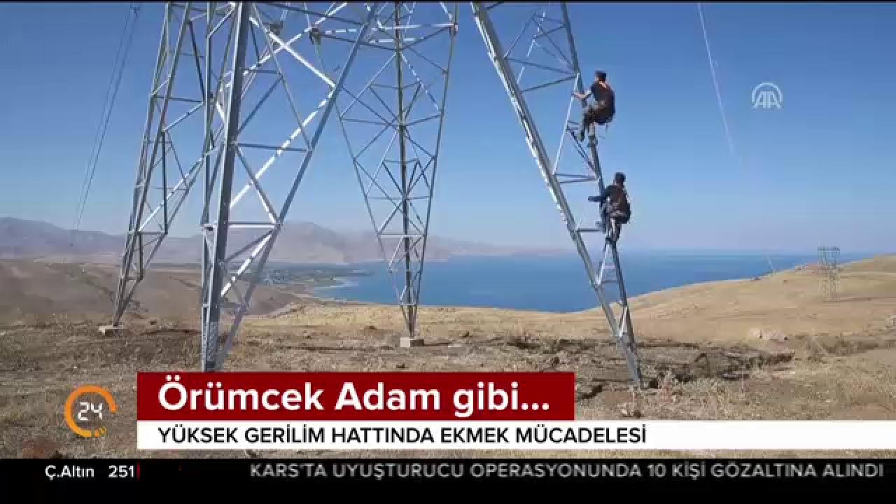 Örümcek adam gibi