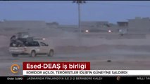 Esed-DEAŞ iş birliği