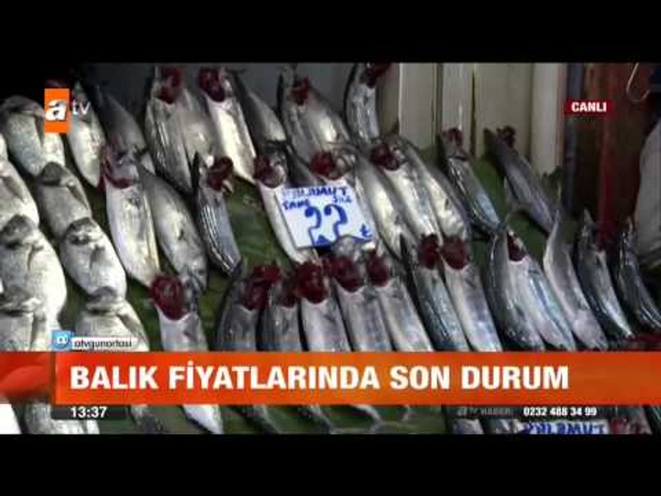 Balık fiyatlarında son durum - atv Gün Ortası