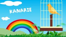 Kinderen leren Huisdieren - Safari dieren - Superhelden - Speelgoed herkennen compilatie Nederlands
