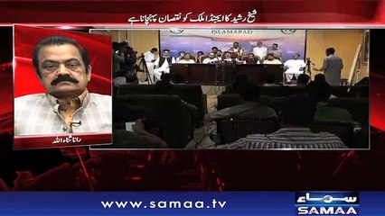 rana sanaullah bash on sheikh rasheed