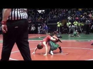 These Little Guys Got The Funk