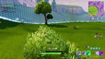 Bushes For the Win
