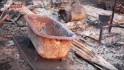 Orman yangınları ABD'yi büyük zarara uğrattı