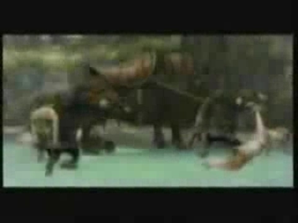 [AMV] Zelda3leR : A Game, A Legend -