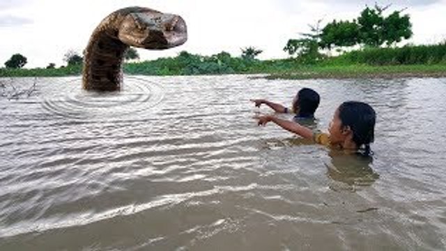 Wow!! Fearlessly Caught Water Snake While Fishing by Two Sisters