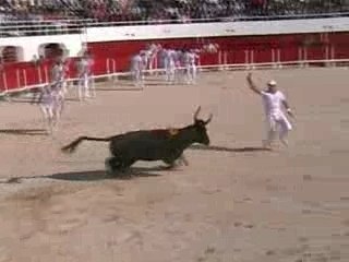 Mathis à palavas