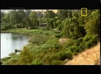 Arquivos Confidenciais - Saladino.