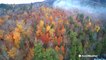 Hot weather could affect fall foliage colors in Northeast