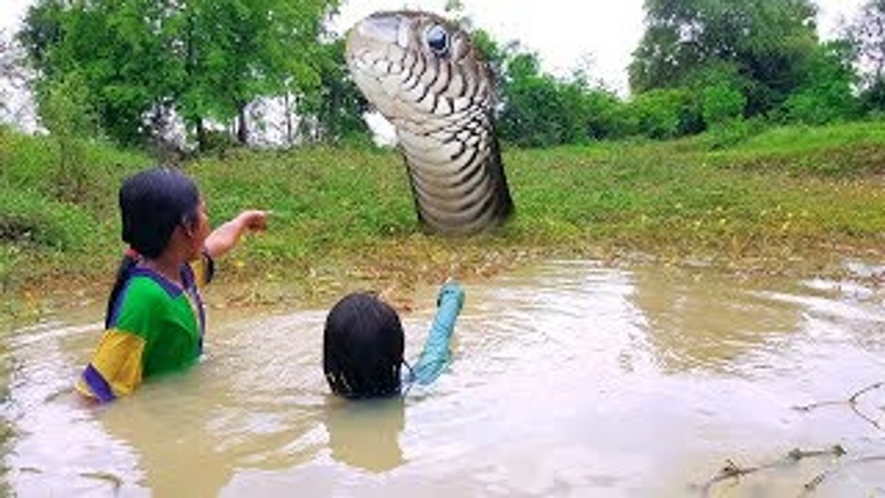 Guess What? Little Sisters See Big Snake While Finding Frogs in Water