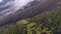 Drone Footage Captures Costa Rica's Turrialba Volcano Eruption